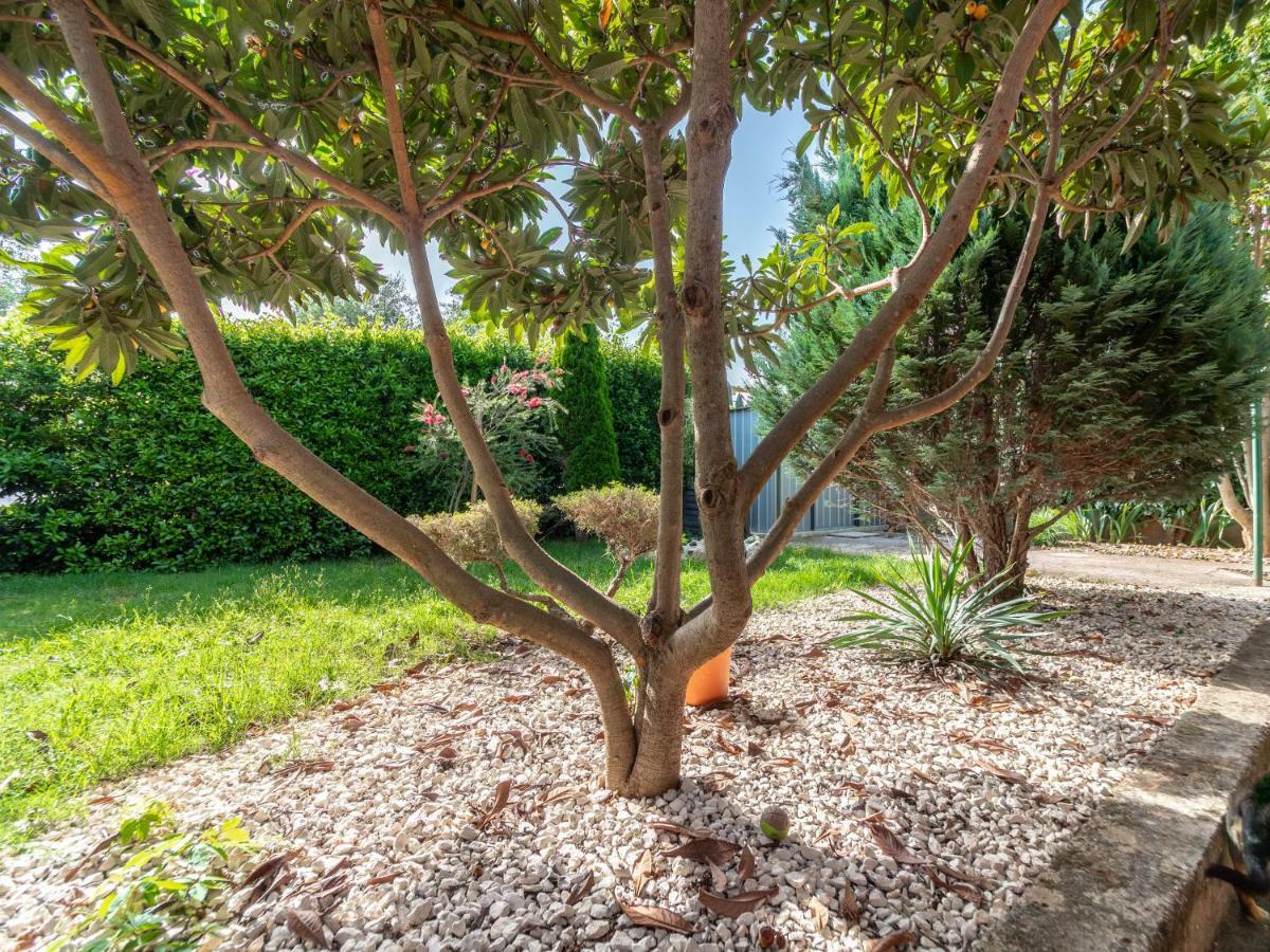 Apartman Arijana 3 Medolino Esterno foto